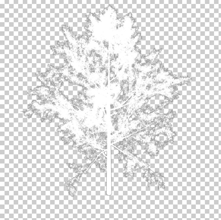 Twig White Line Art Leaf PNG, Clipart, Black And White, Branch, Flowering Plant, Leaf, Line Free PNG Download