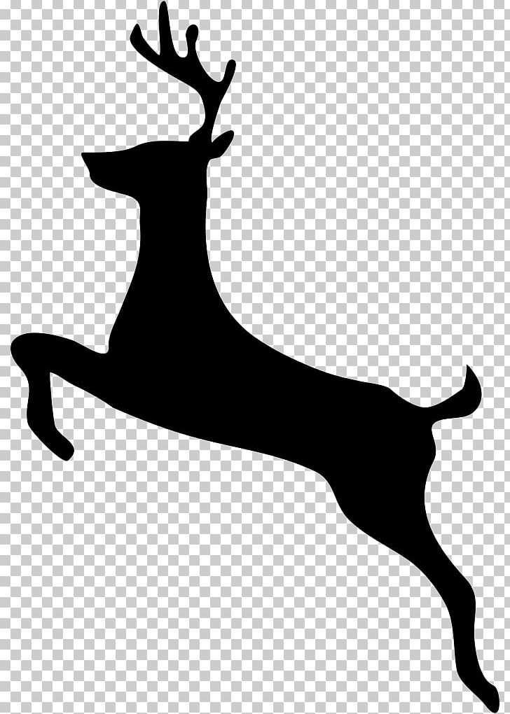 White-tailed Deer Moose PNG, Clipart, Animals, Antler, Black And White, Clip Art, Deer Free PNG Download