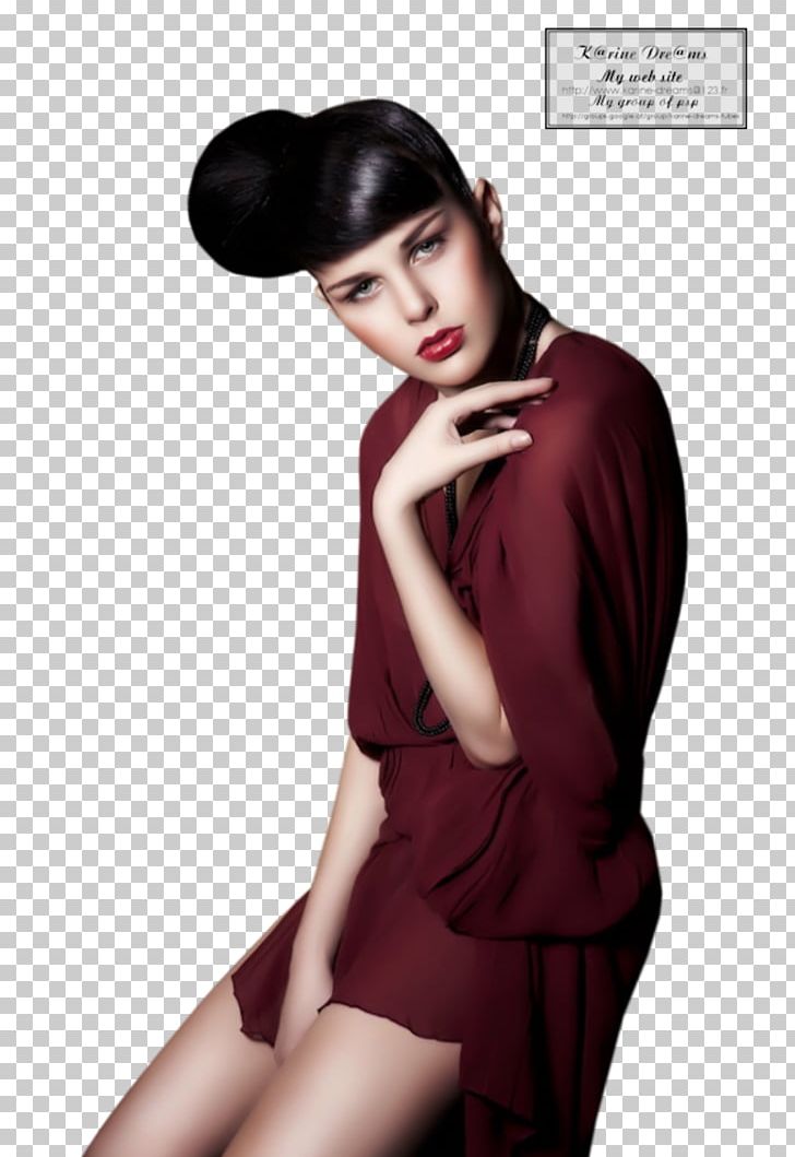 Model Photo Shoot Fashion Woman Her PNG, Clipart, Beauty, Black Hair, Brown Hair, Celebrities, Fashion Free PNG Download