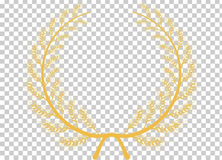 Paralegal Law Society Of Ontario Upper Canada Laurel Wreath Legal Aid PNG, Clipart, Academic Certificate, Branch, Commodity, Feather, Grass Family Free PNG Download