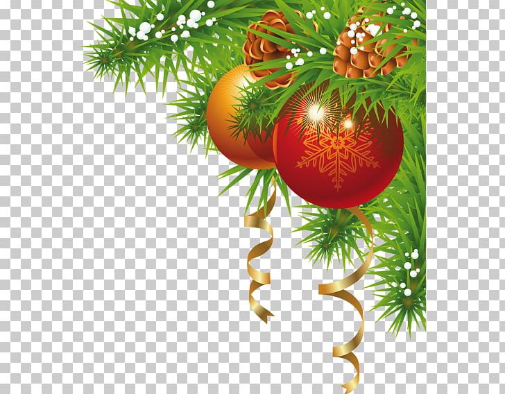 Christmas Ornament PNG, Clipart, Branch, Christmas, Christmas Decoration, Christmas Lights, Christmas Ornament Free PNG Download