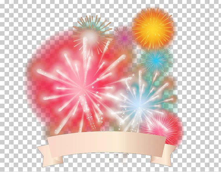 Fireworks PNG, Clipart, Adobe Fireworks, Color, Computer Wallpaper, Download, Euclidean Vector Free PNG Download