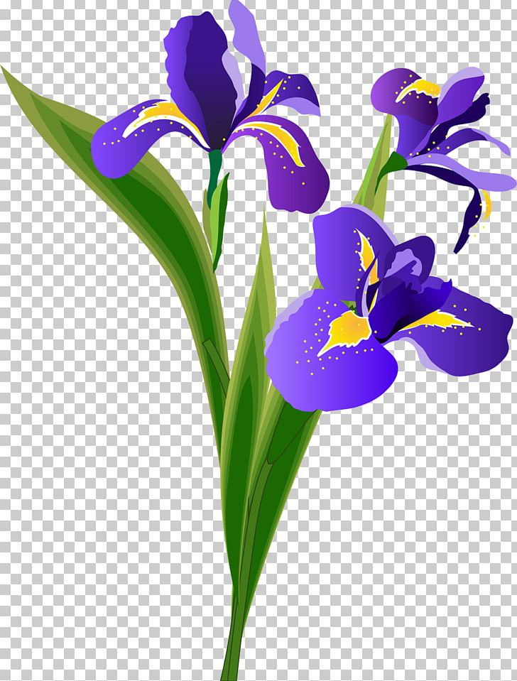 Flower Irises PNG, Clipart, Cut Flowers, Floral Design, Flower, Flowering Plant, Graphic Design Free PNG Download
