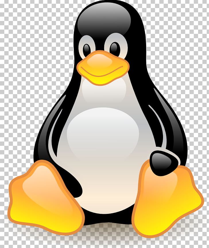 Linux Unix OpenSUSE Operating Systems PNG, Clipart, Beak, Bird, Birt Project, Computer, Computer Servers Free PNG Download