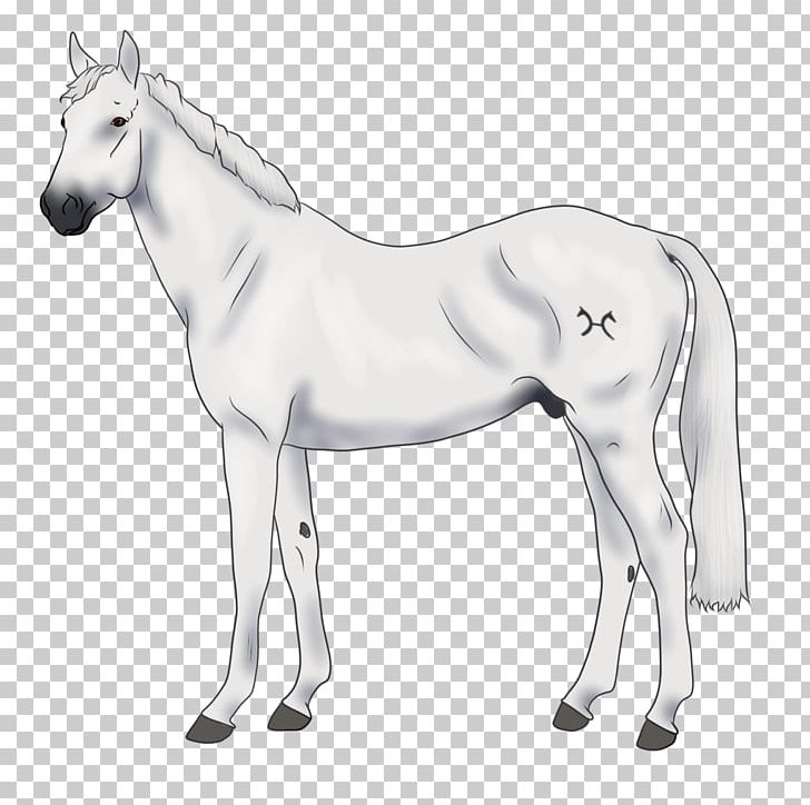 Mule Foal Halter Mare Stallion PNG, Clipart,  Free PNG Download
