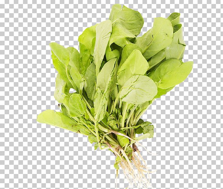 Spinach Stuffing Leaf Vegetable Herb PNG, Clipart, Brassica Juncea, Broccoli, Cauliflower, Choy Sum, Cooking Free PNG Download