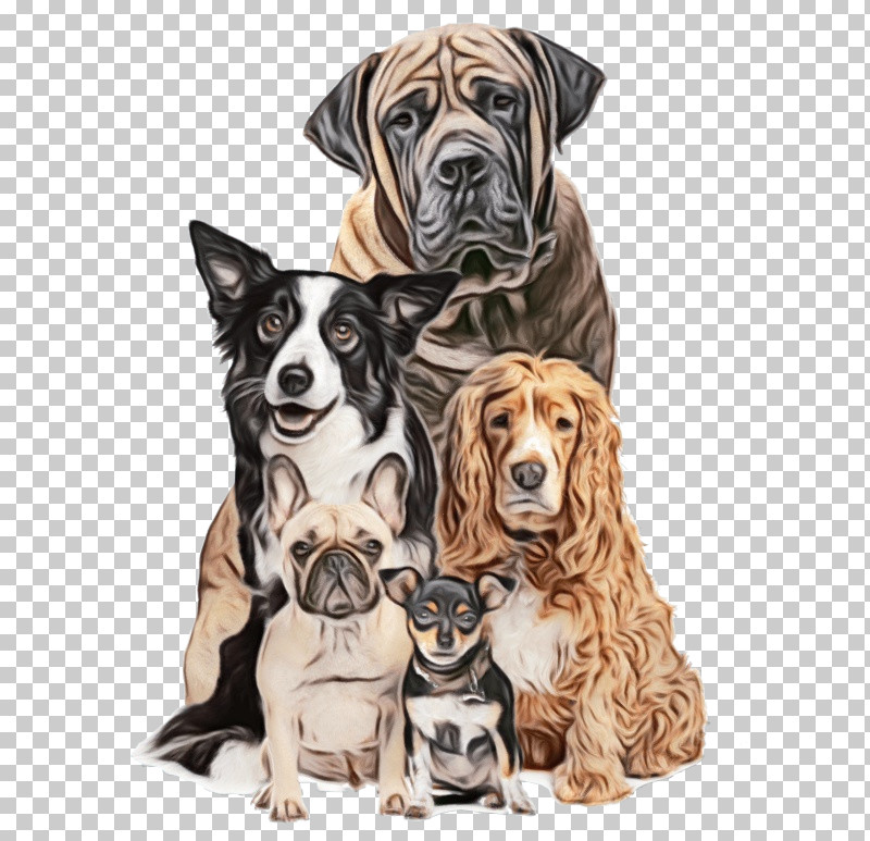 Dog Great Dane Ancient Dog Breeds Companion Dog Sporting Group PNG, Clipart, Ancient Dog Breeds, Companion Dog, Dog, Great Dane, Paint Free PNG Download