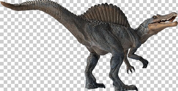 Spinosaurus Velociraptor Tyrannosaurus Dinosaur Theropods PNG, Clipart, Animal Figure, Bild, Dinosaur, Dinosaur Pictures, Eating Free PNG Download