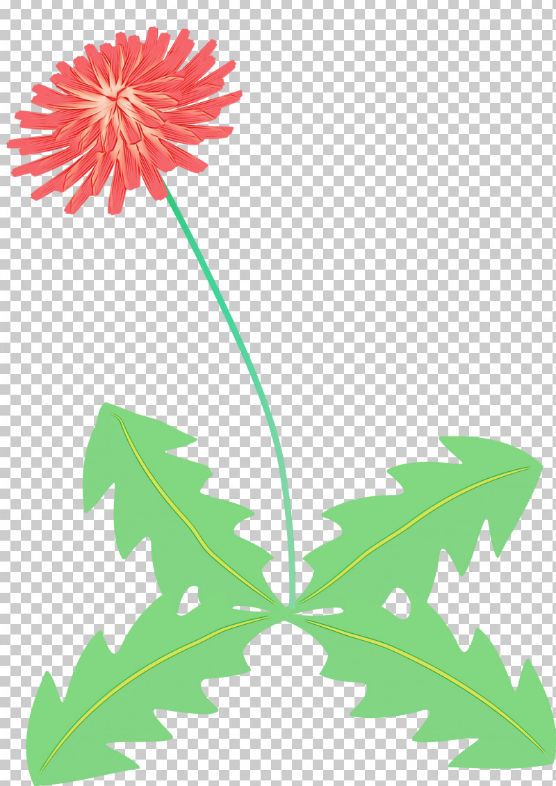 Flower Garden PNG, Clipart, Common Daisy, Cut Flowers, Daisy Family, Dandelion Flower, Flower Free PNG Download