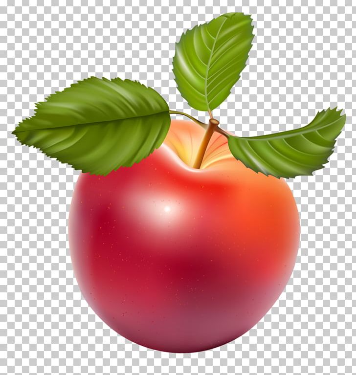 Apple PNG, Clipart, Apple, Apple Fruit, Apple Logo, Apple Tree, Cherry Free PNG Download