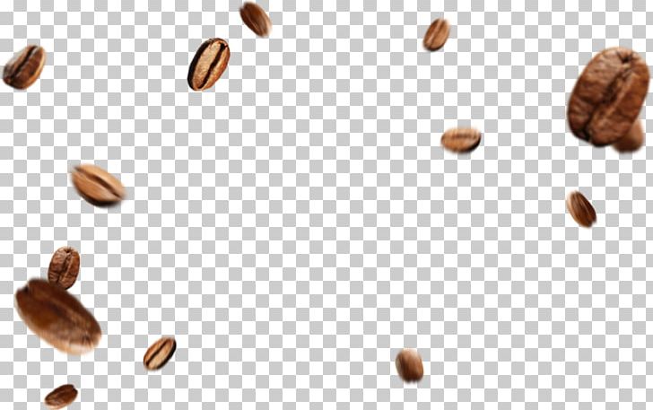 Coffee Bean PNG, Clipart, Bean, Beans, Clip Art, Cocoa Bean, Coffee Free PNG Download