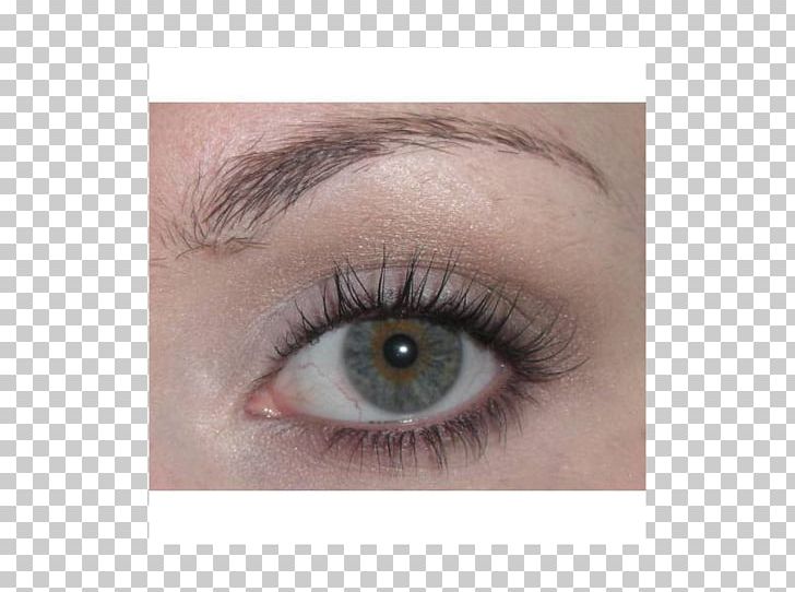 Eyebrow Eyelash Eye Shadow Cosmetics PNG, Clipart, Beauty, Closeup, Closeup, Cosmetics, Eye Free PNG Download