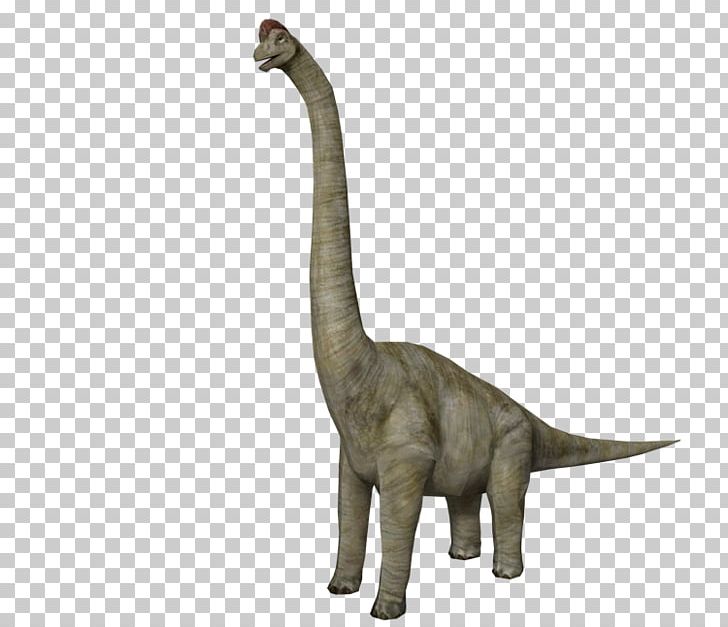 Velociraptor Fauna Extinction Terrestrial Animal PNG, Clipart, Animal, Animal Figure, Dinosaur, Extinction, Fauna Free PNG Download