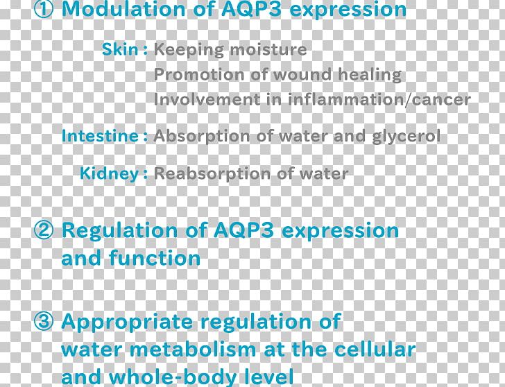 Document Line Organism Angle Brand PNG, Clipart, Angle, Aqua, Area, Blue, Brand Free PNG Download