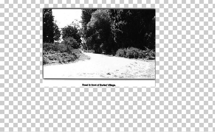 Paper Stock Photography Land Lot PNG, Clipart, Area, Black And White, Brand, Grass, Land Lot Free PNG Download