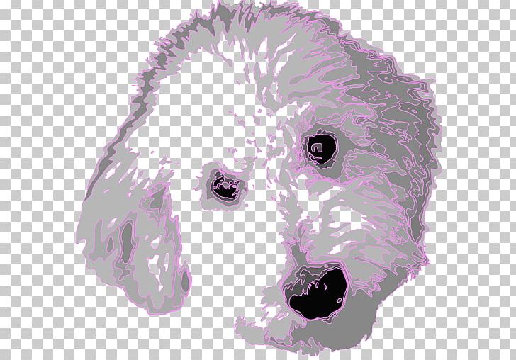 Poodle Goldendoodle Dog Breed Puppy Dog Grooming PNG, Clipart, Animals, Art, Bear, Breed, Carnivoran Free PNG Download