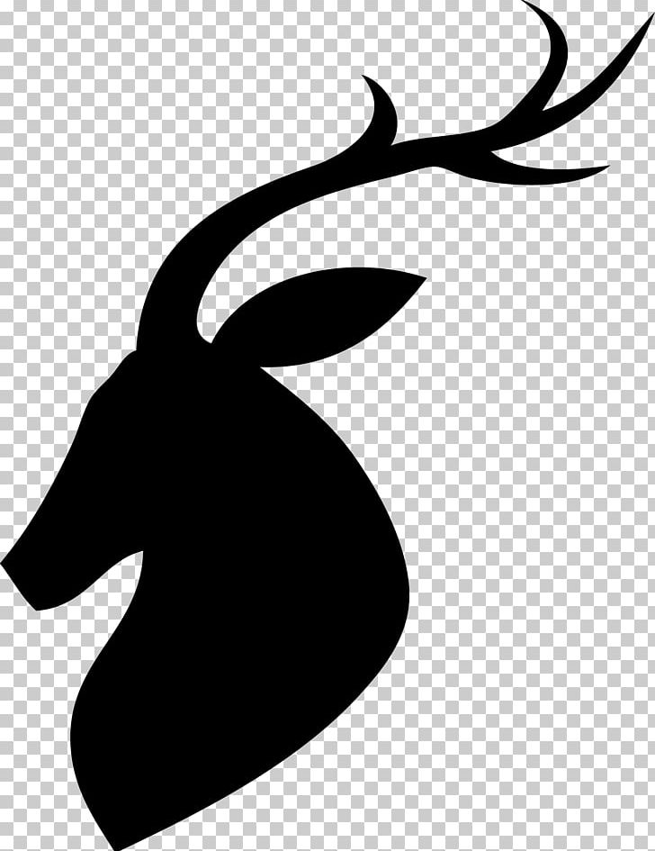 White-tailed Deer Reindeer PNG, Clipart, Animals, Antler, Art, Artwork, Beak Free PNG Download