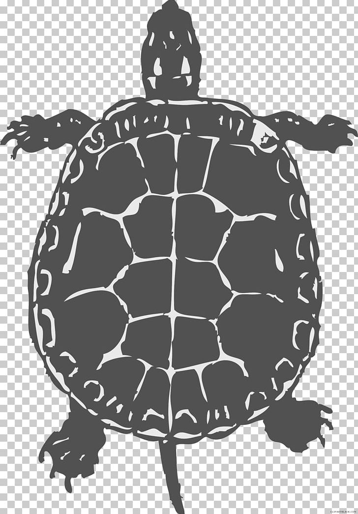 Common Snapping Turtle Reptile Sea Turtle PNG, Clipart, Animal, Animals, Black And White, Black White, Box Turtles Free PNG Download