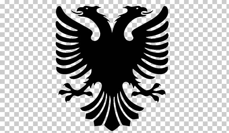 Flag Of Albania T-shirt Double-headed Eagle Albanian Language PNG, Clipart, Albania, Albanian, Beak, Bird, Bird Of Prey Free PNG Download