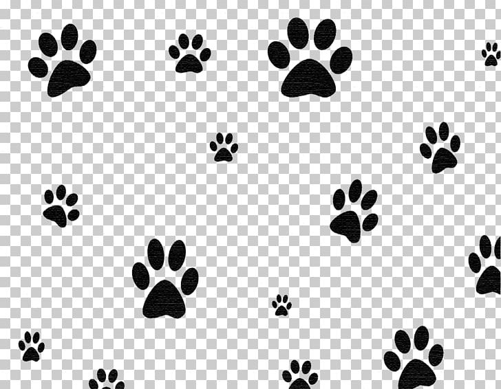 FM Broadcasting Australian Cattle Dog KBXB KREZ United States PNG, Clipart, Australian Cattle Dog, Black, Black And White, Blues Clues, Clinica Free PNG Download