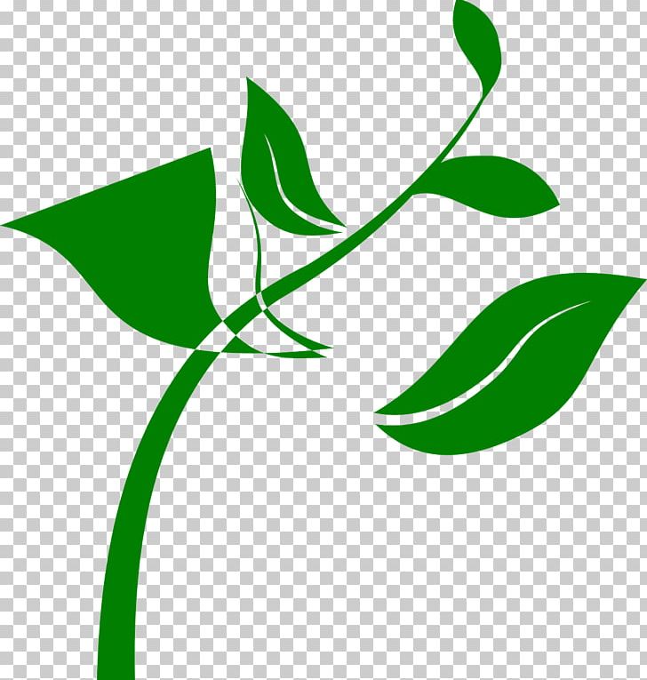 Seedling Plant PNG, Clipart, Artwork, Branch, Computer Icons, Flora, Flower Free PNG Download