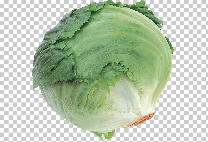 Cruciferous Vegetables Cabbage Collard Greens Spring Greens PNG, Clipart, Broccoli, Brussels Sprout, Cabbage, Cancer, Cancer Prevention Free PNG Download