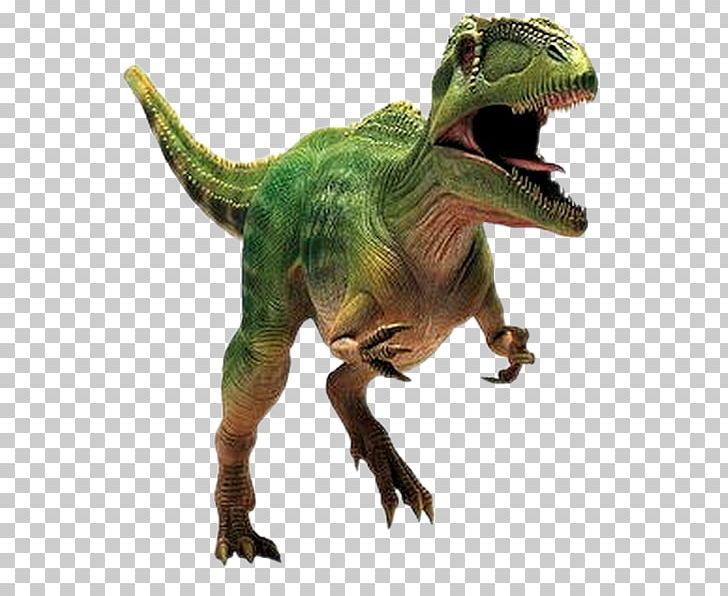 Giganotosaurus Mapusaurus Tyrannosaurus Carcharodontosaurus Spinosaurus PNG, Clipart, Acrocanthosaurus, Ankylosaurus, Argentinosaurus, Carcharodontosauridae, Cryolophosaurus Free PNG Download