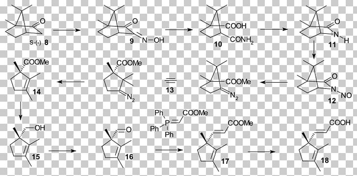 Vitamin B-12 White System Structure PNG, Clipart, Angle, Area, Black, Black And White, Brain Free PNG Download