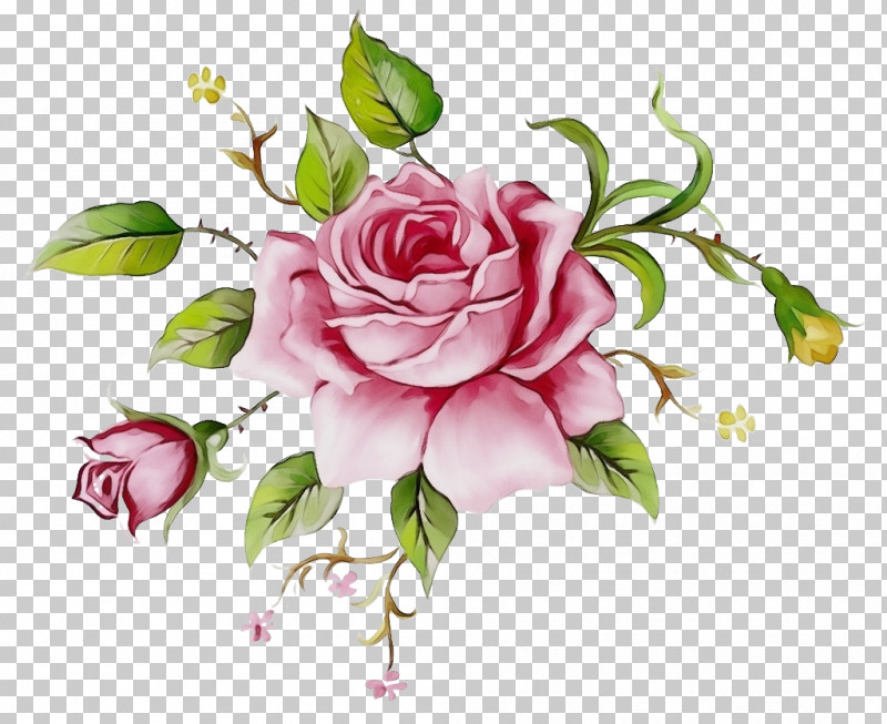 Garden Roses PNG, Clipart, Artificial Flower, Cut Flowers, Floral Design, Floristry, Flower Free PNG Download