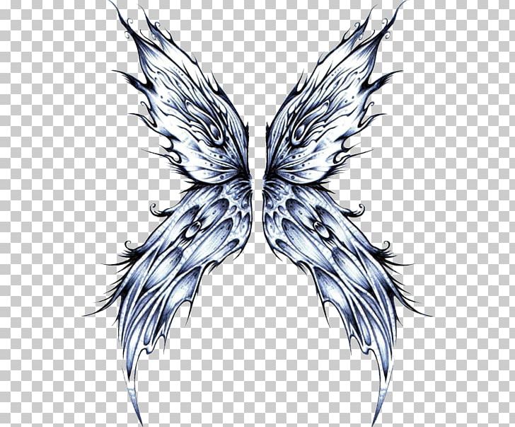 Butterfly Drawing Papillon Dog Fairy PNG, Clipart, Artwork, Beak, Bird, Black And White, Butterfly Free PNG Download
