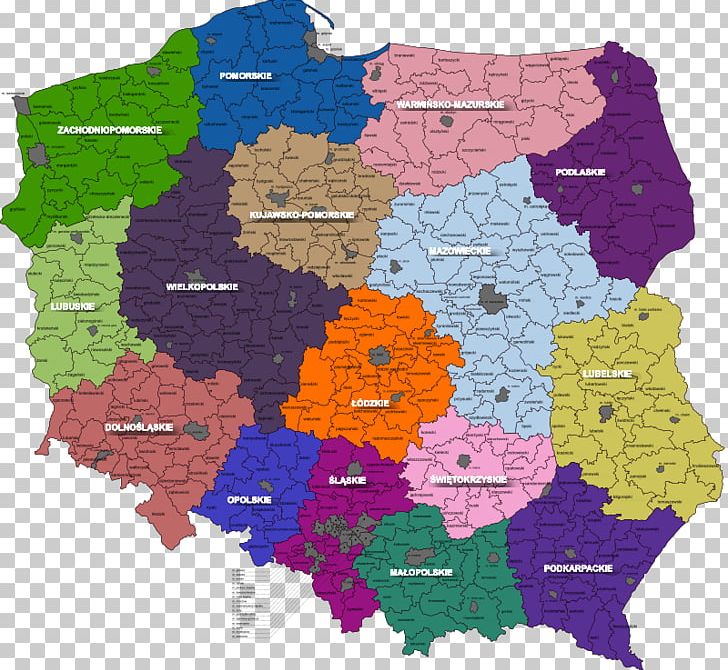 Kuyavian-Pomeranian Voivodeship Voivodeships Of Poland PNG, Clipart, Area, Electronics, Europe, Keyboard, Kuyavianpomeranian Voivodeship Free PNG Download