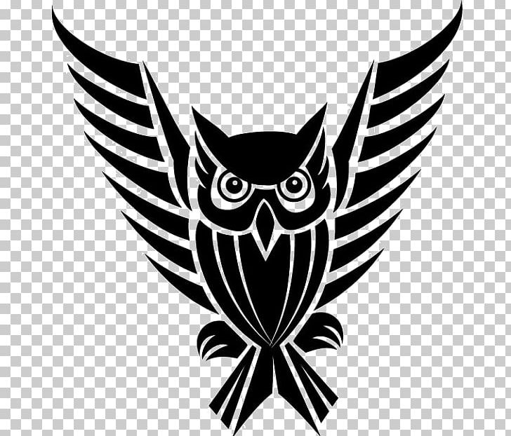 Owl Bird Drawing PNG, Clipart, Animals, Art, Beak, Bird, Bird Of Prey Free PNG Download