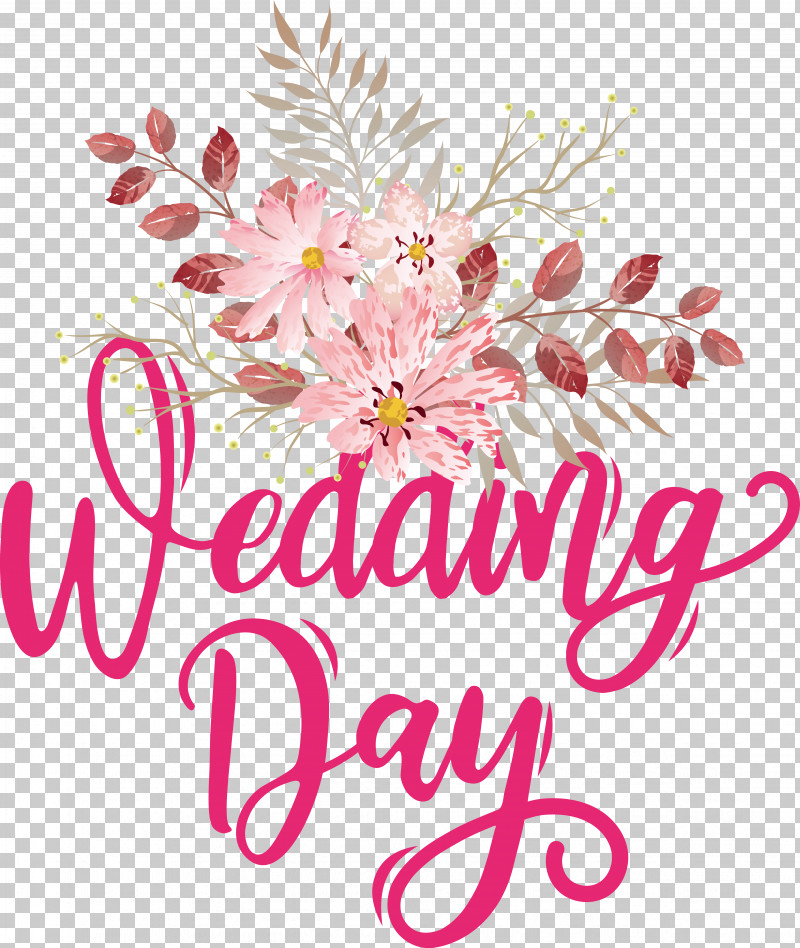 Floral Design PNG, Clipart, Biology, Chrysanthemum, Cut Flowers, Floral Design, Flower Free PNG Download