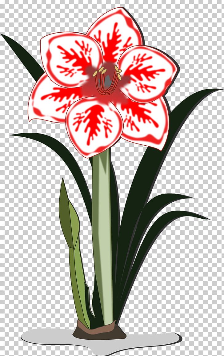 Floral Design Amaryllis Jersey Lily Cut Flowers Flowerpot PNG, Clipart, Amaryllis, Amaryllis Belladonna, Amaryllis Family, Artwork, Belladonna Free PNG Download