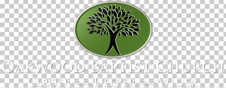 Logo Brand Product Design Font PNG, Clipart, Bible, Brand, Church, Green, Lan Free PNG Download