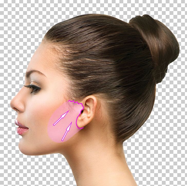 Stock Photography Face Profile Of A Person PNG, Clipart, Beauty, Brown Hair, Can Stock Photo, Cheek, Chin Free PNG Download