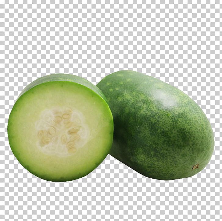 Wax Gourd Vegetable Melon Food Fruit PNG, Clipart, Bitter Melon, Cantaloupe, Cartoon, Cucumber, Cucumber Gourd And Melon Family Free PNG Download