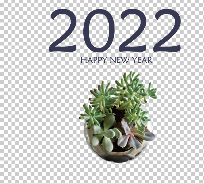 New Year PNG, Clipart, Bauble, Christmas Day, Flower, Holiday, New Year Free PNG Download