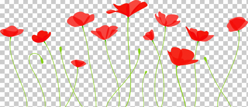 Poppy Flower PNG, Clipart, Coquelicot, Corn Poppy, Flower, Pedicel, Petal Free PNG Download