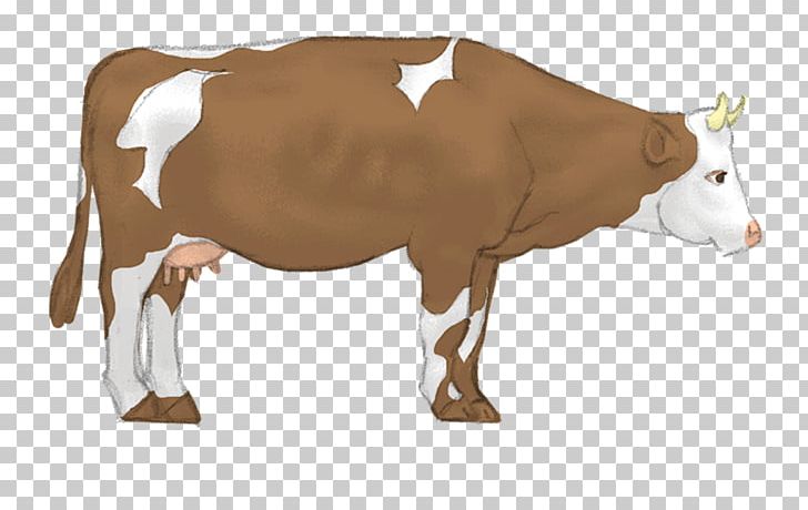 Dairy Cattle Farm Yoga Livestock PNG, Clipart, Animal Figure, Bull, Calf, Cattle, Cattle Like Mammal Free PNG Download