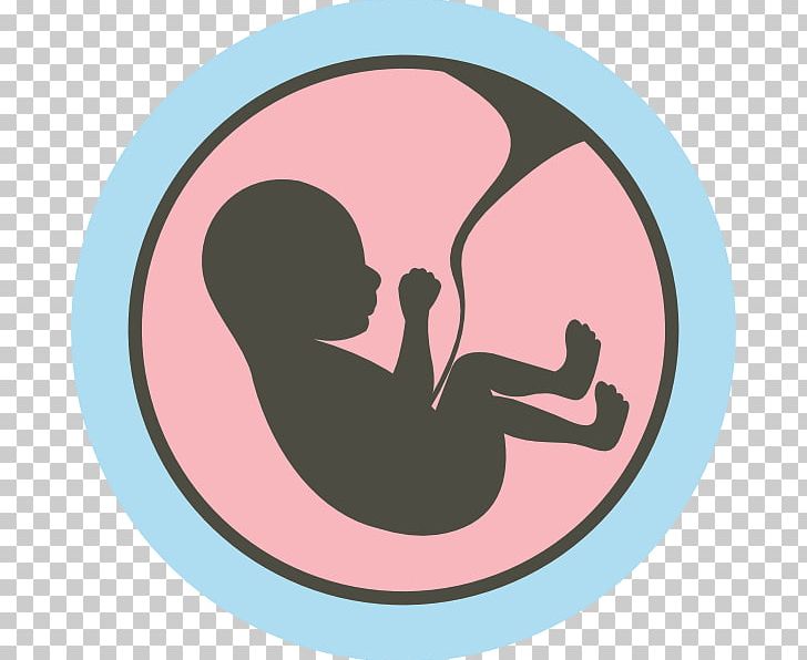 Studies Of The Fetus In The Womb Uterus Computer Icons PNG, Clipart, Can Stock Photo, Child, Circle, Computer Icons, Embryo Free PNG Download