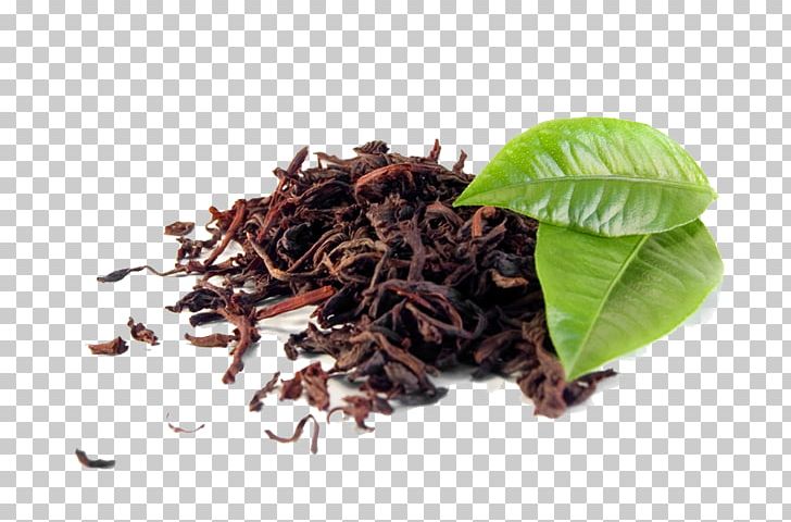 Green Tea Darjeeling Tea Black Tea Assam Tea PNG, Clipart, Bai Mudan, Bancha, Bubble Tea, Ceylon Tea, Chinese Tea Free PNG Download
