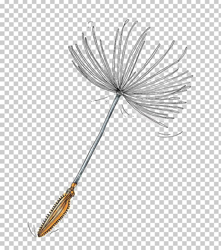 Illustrator Dandelion Illustration PNG, Clipart, Adobe Freehand, Adobe Illustrator, Art, Black And White, Buckle Free PNG Download