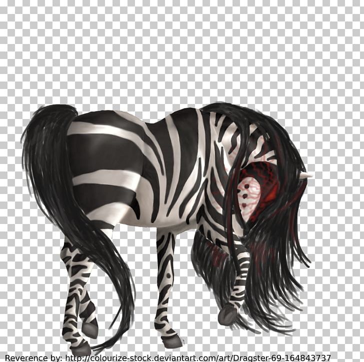 Mane Neck Zebra PNG, Clipart, Horse, Horse Like Mammal, Howrse, Mammal, Mane Free PNG Download