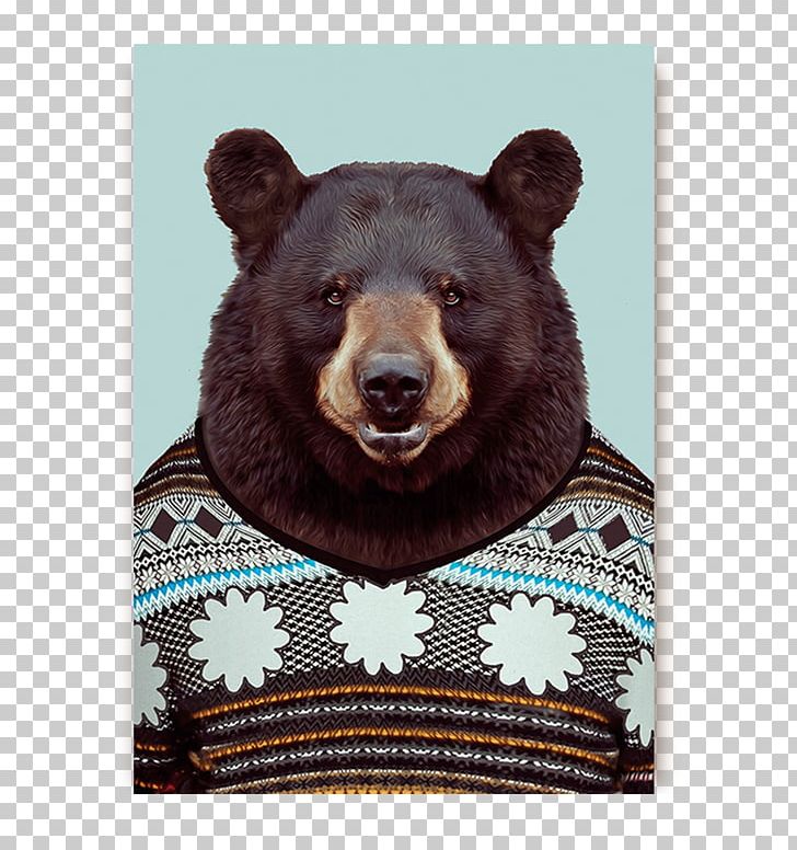 Zoo Portraits Bear Photography Art PNG, Clipart, American Black Bear, Animal, Animals, Art, Artist Free PNG Download