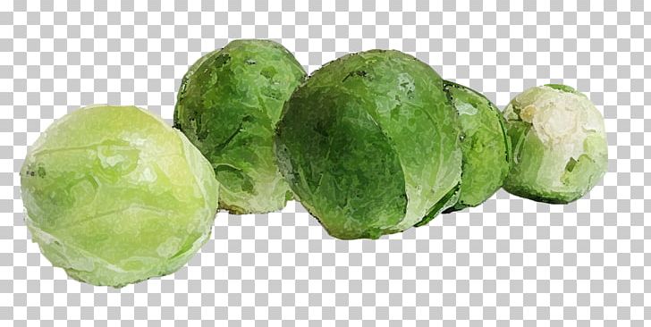 Brussels Sprout Capitata Group Collard Greens Vegetable Food PNG, Clipart, Brassica Oleracea, Brussels Sprout, Cabbage, Capitata Group, Celery Free PNG Download