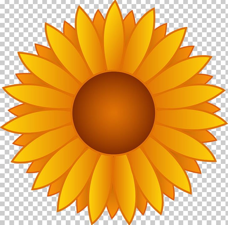 Common Sunflower Free Content PNG, Clipart, Blog, Common Sunflower, Copyright, Daisy Family, Download Free PNG Download