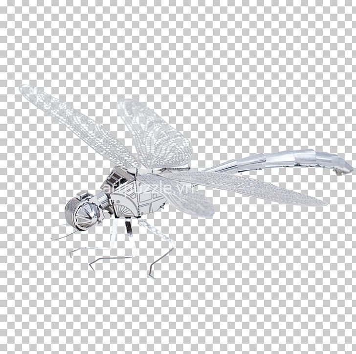 Dragonfly Insect Butterfly Wing Butterflies And Moths PNG, Clipart, Arthropod, Butterflies And Moths, Butterfly, Dragonflies And Damseflies, Dragonfly Free PNG Download