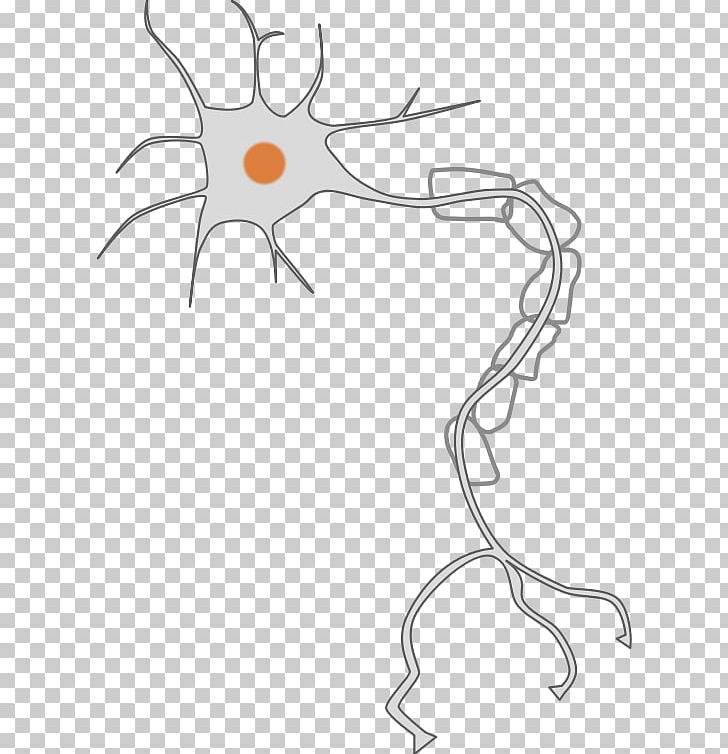 Neuron Nervous System Axon PNG, Clipart, Angle, Area, Artwork, Black And White, Brain Cell Free PNG Download