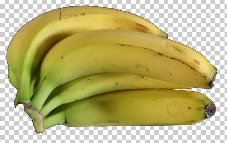 Saba Banana Cooking Banana Musa × Paradisiaca Fruit PNG, Clipart, Avocado, Banana, Banana Family, Cooking Banana, Cooking Plantain Free PNG Download
